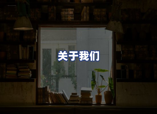 专业团队